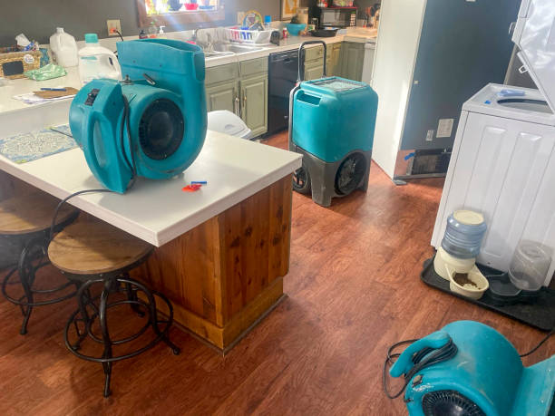 Best Commercial water damage restoration  in Romeovle, IL